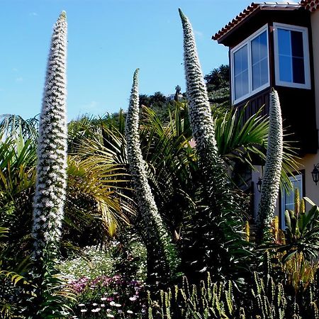 Apartamento Mar Y Teide Sauzal Ruang foto