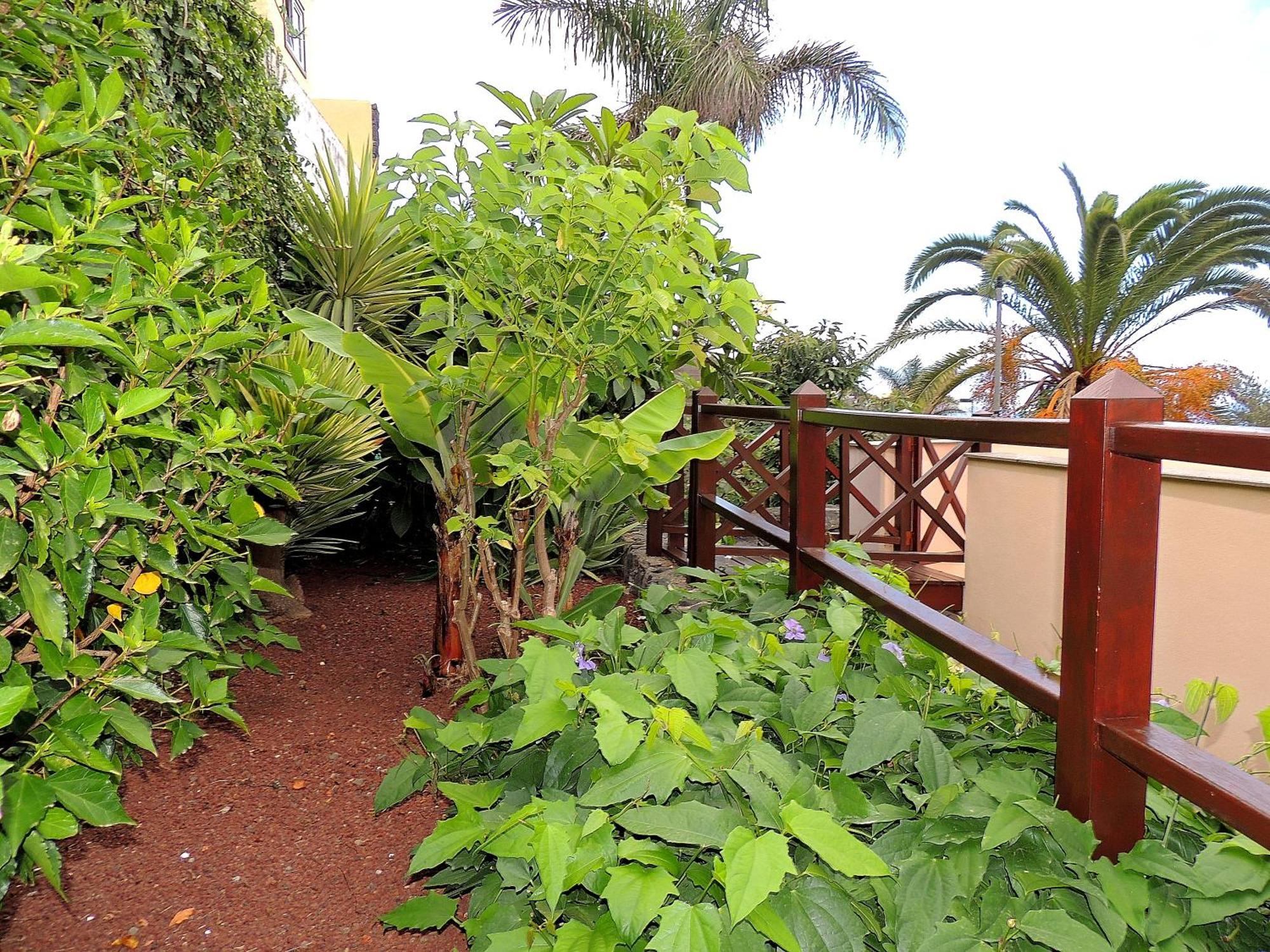 Apartamento Mar Y Teide Sauzal Bagian luar foto