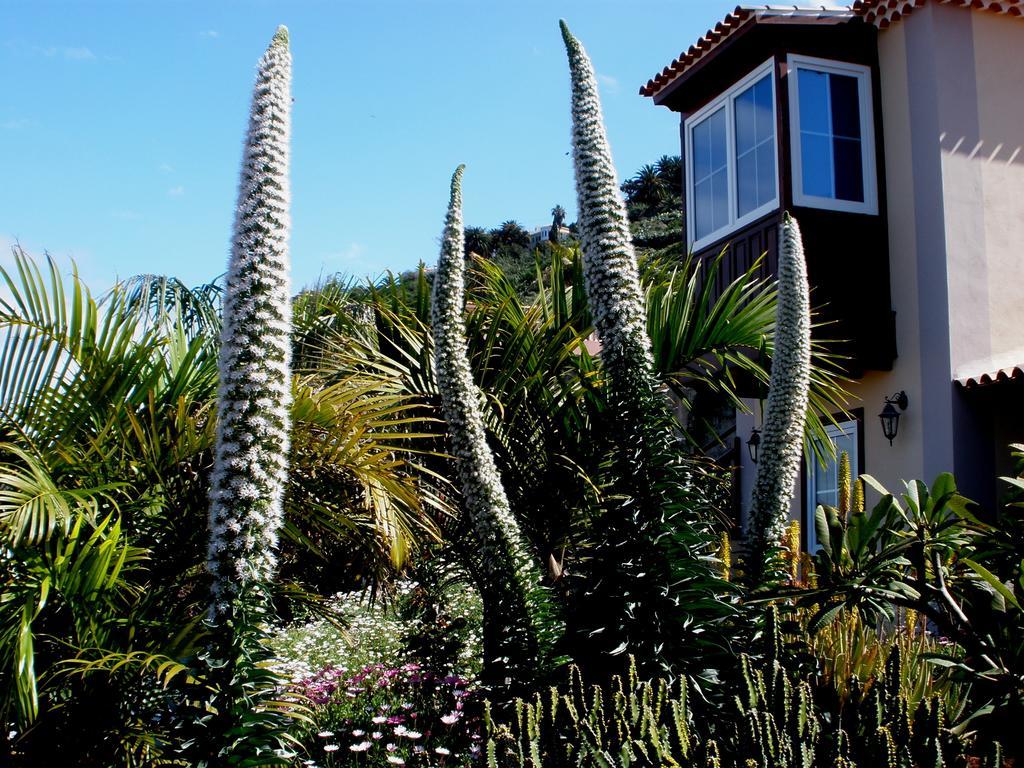 Apartamento Mar Y Teide Sauzal Ruang foto